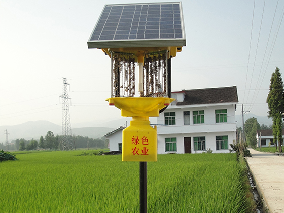 农用杀虫灯如何清理？听杀虫灯厂家的建议没错