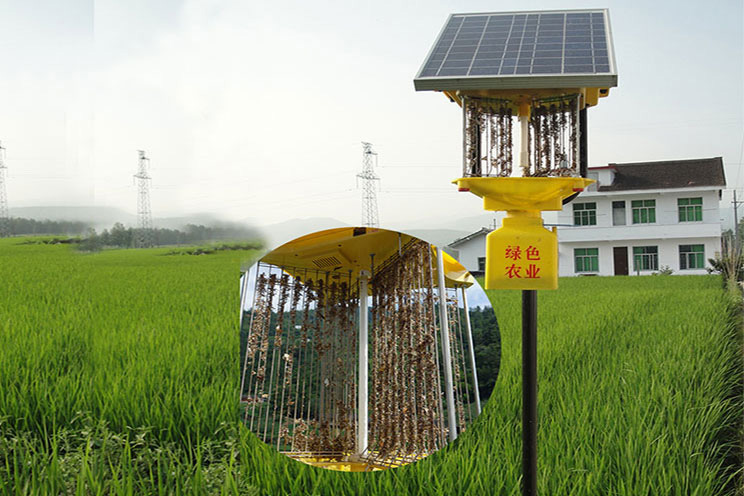 太阳能国产成人无码免费精品果冻传效果实拍