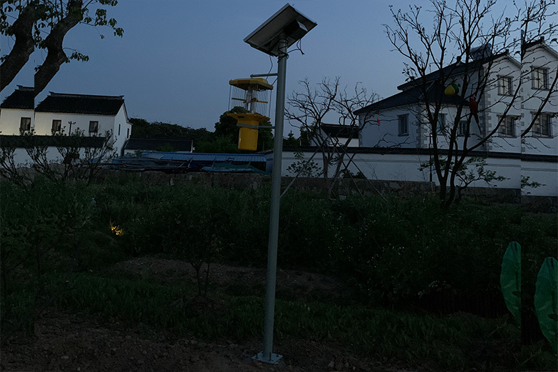 大型高杆果冻传媒玛丽莲安装现场图片